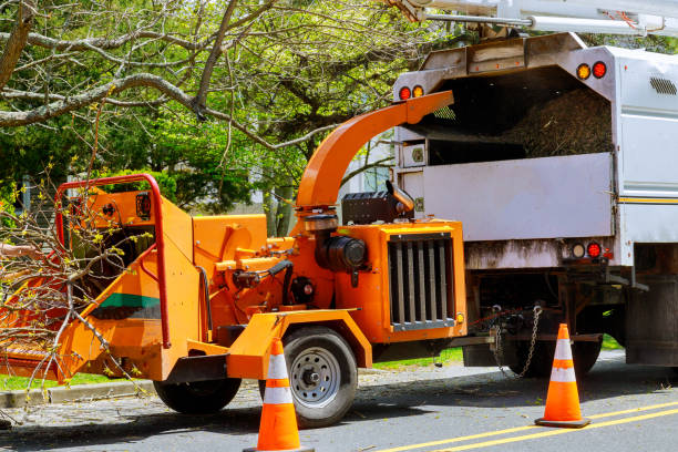  Hebron, KY Tree Services Pros