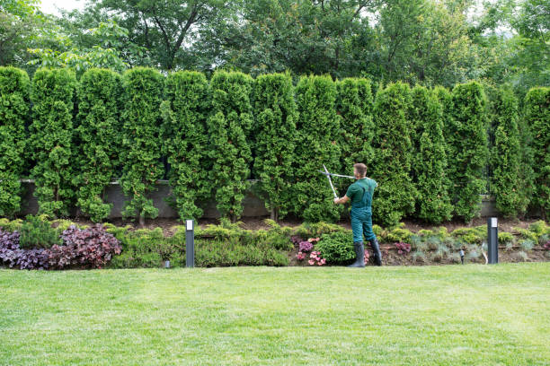 Best Artificial Turf Installation  in Hebron, KY